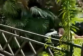 У всех на виду: полиция Сочи разыскивает очередную любвеобильную пару