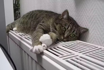 Отопительный сезон в Краснодаре стартовал по заявочному принципу