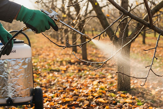 Эффективность биопрепаратов для осенней обработки сада: анализ целесообразности применения