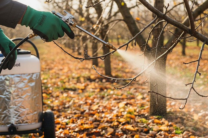 Эффективность биопрепаратов для осенней обработки сада: анализ целесообразности применения