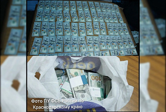 Капитан теплохода оштрафован на 2 млн рублей за контрабанду 270 тыс. долларов США в Новороссийске