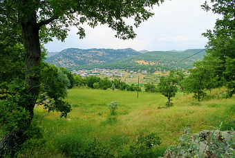 Материнский капитал хотят разрешить тратить на покупку земли