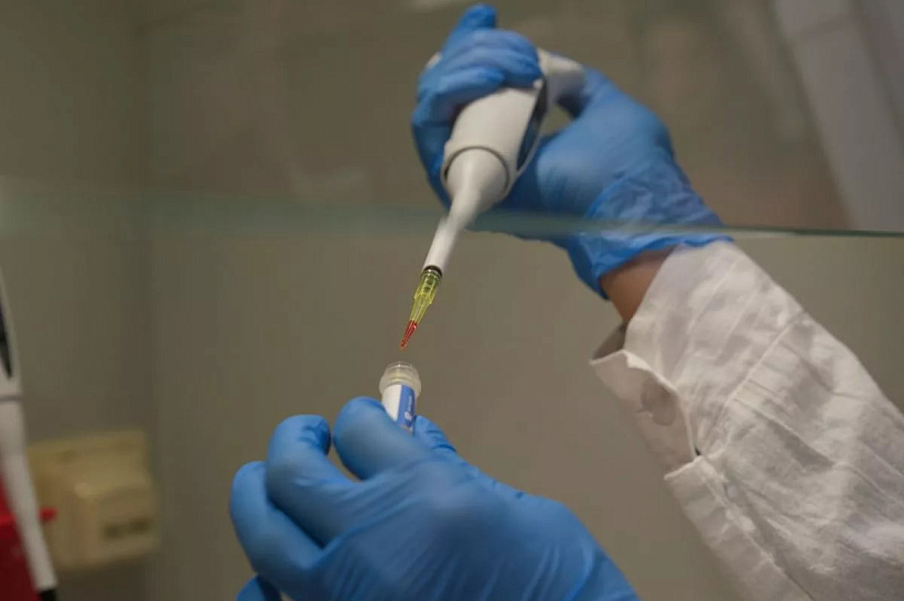 Учёные КубГМУ создали средство от астмы, сочетающее противовоспалительные свойства и безопасность для желудка