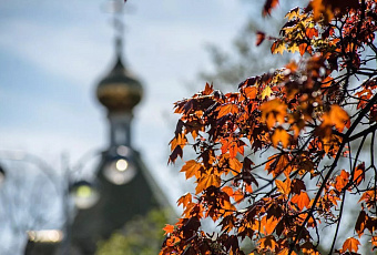 Температура в Краснодарском крае поднимется до +24 градусов