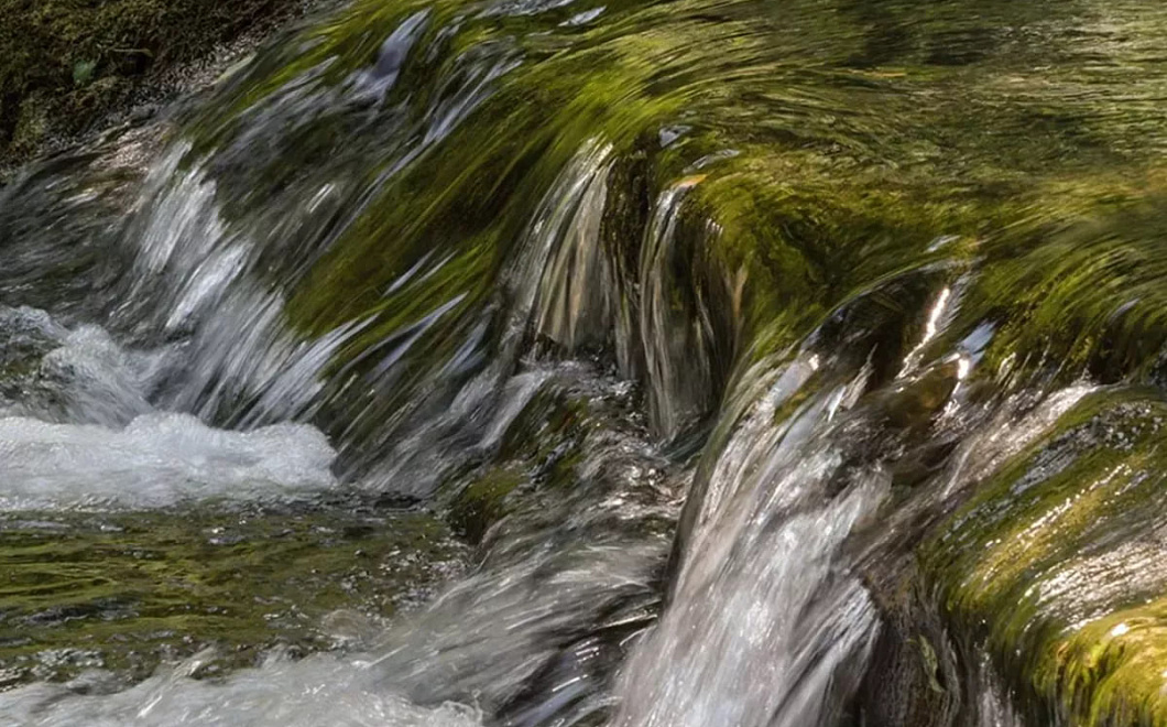 Уровень воды поднялся в двух реках Сочи из-за сильных дождей
