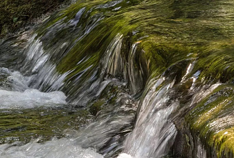 Уровень воды поднялся в двух реках Сочи из-за сильных дождей