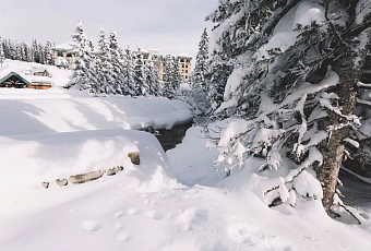 Наибольшая высота снежного покрова в России зафиксирована на Камчатке — 144 см