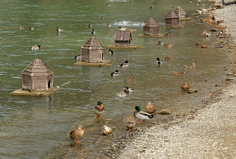 Хамышки, Абрау-Дюрсо и Домбай — самые дорогие курорты России в декабре