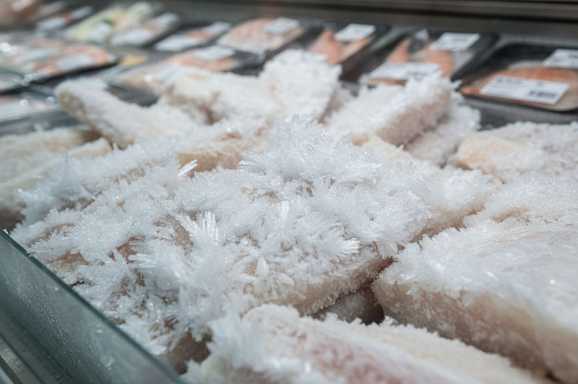 Можно ли покупать рыбу на которой лед, технолог дала совет по выбору замороженных морепродуктов