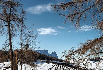 Краснодарский край вошел в топ-10 рейтинга регионов России по качеству жизни