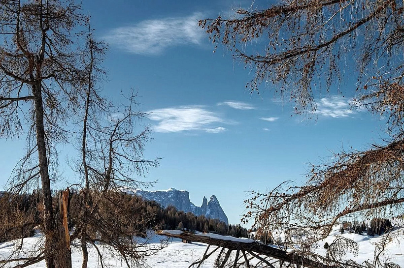 Краснодарский край вошел в топ-10 рейтинга регионов России по качеству жизни