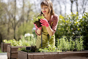 Что нужно делать сегодня, чтобы получить хороший урожай в следующем году