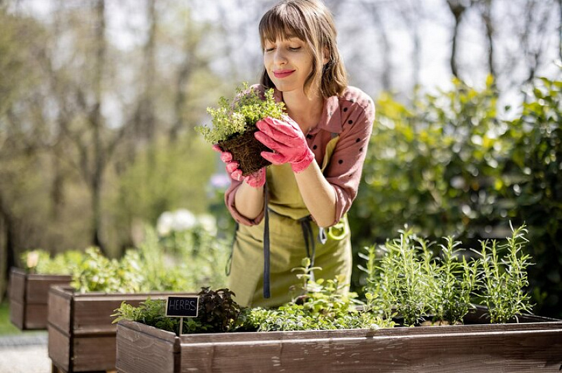 Что нужно делать сегодня, чтобы получить хороший урожай в следующем году