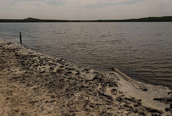 Ученые СПбГУ зафиксировали загрязнение уникальных соленых озер Крыма