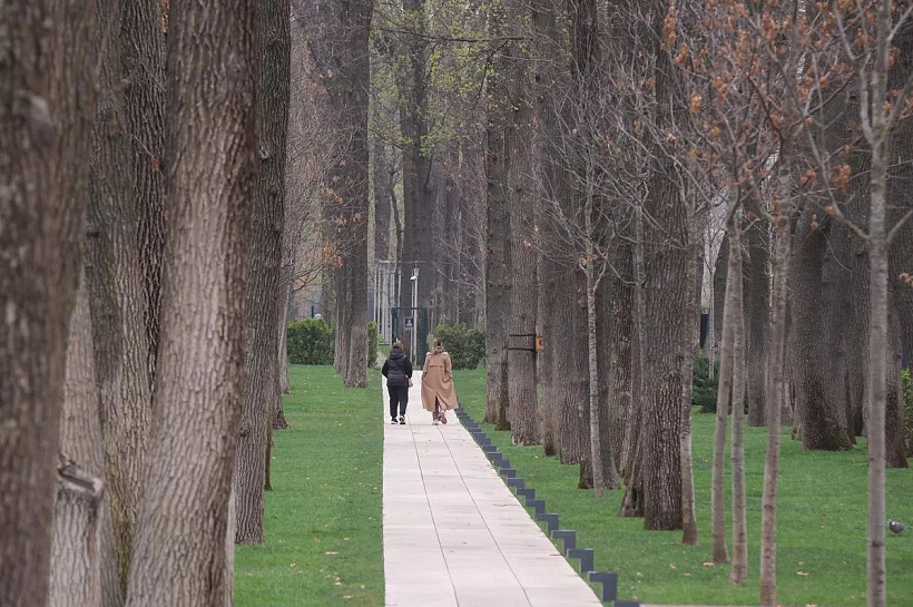 Похолодание в Краснодарском крае достигнет пика 22 апреля: ночью до +7, днём до +13 и сильные дожди