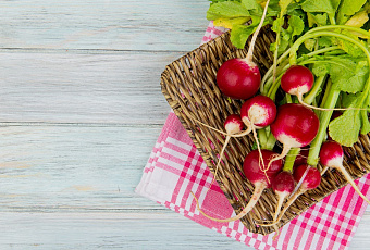 Польза редиски: корень молодости и здоровья