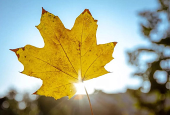 Бабье лето придет на Кубань в начале октября с потеплением до +26°