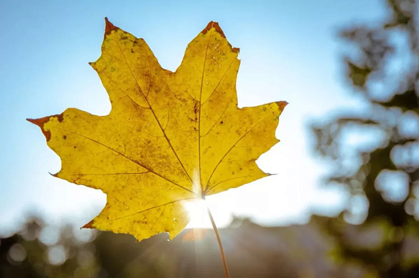 Бабье лето придет на Кубань в начале октября с потеплением до +26°