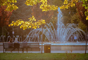 В Краснодаре побит температурный рекорд 19 ноября 2025 года