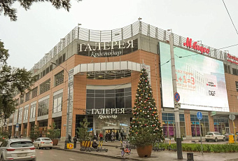 82% жителей Краснодара покупают подарки на новогодних распродажах «Авито»