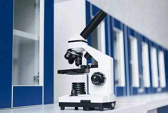 Новгородские ученые создают нейросеть для анализа мозга на основе ЭЭГ