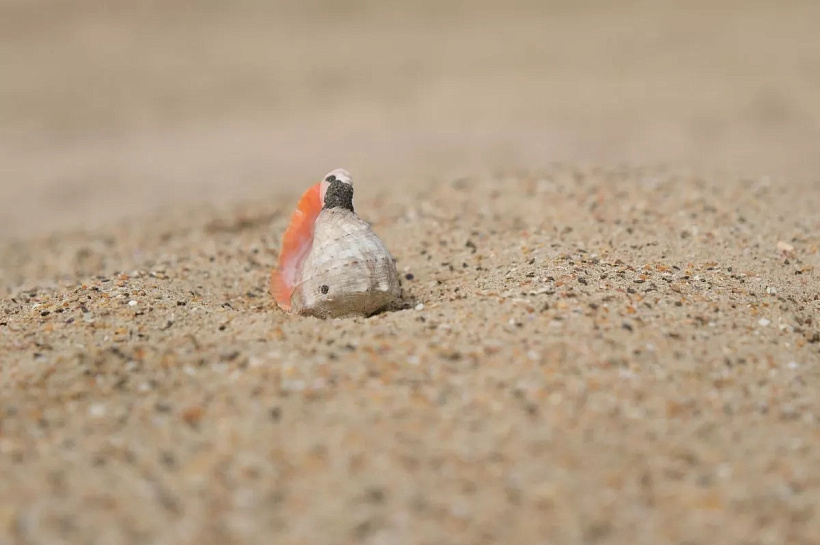 Песчаная буря из Турции дойдёт до Кубани, но будет слабой