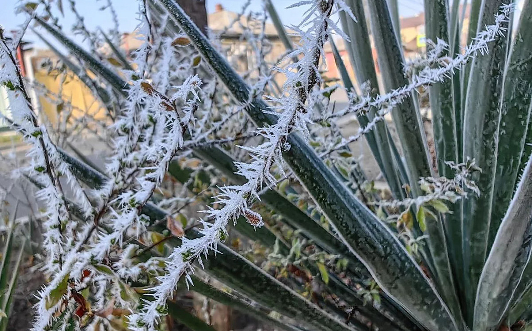 В Краснодарском крае ожидаются первые заморозки до -3 градусов