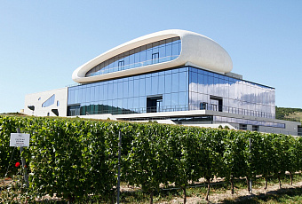 В Анапе открыли гравитационную винодельню