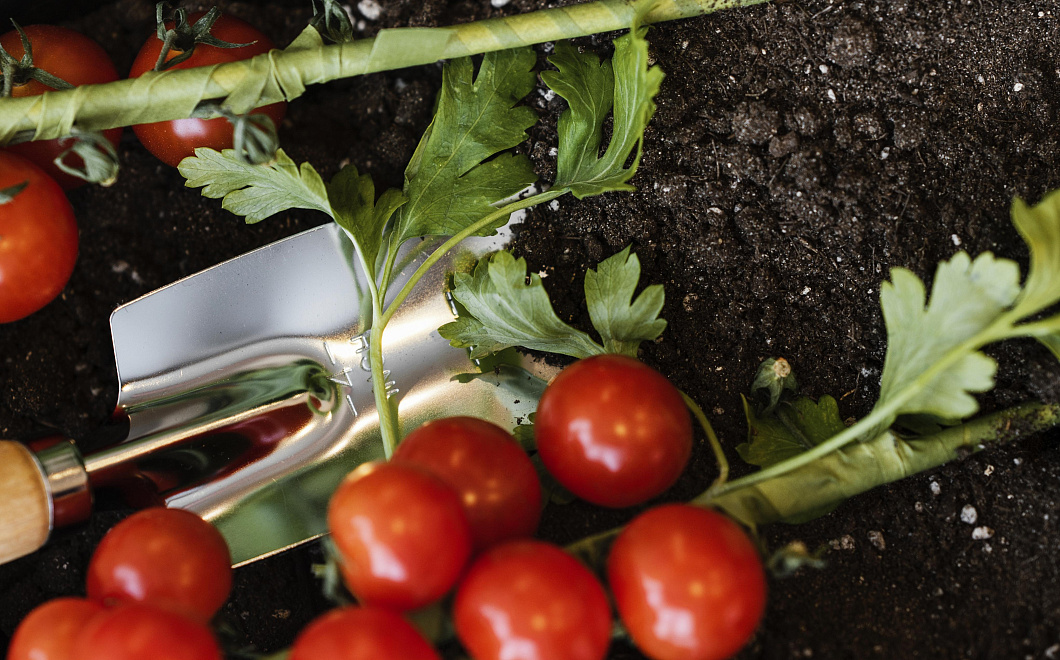 Секрет сладости: как сделать домашние помидоры вкуснее