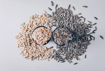 Учёные КубГУ научились получать фурфурол из рисовой шелухи и лузги подсолнечника