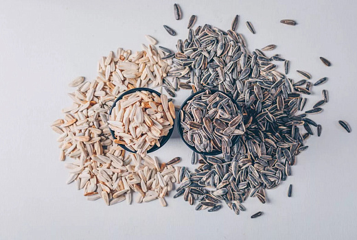 Учёные КубГУ научились получать фурфурол из рисовой шелухи и лузги подсолнечника