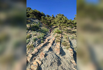 Двое туристов из Волгограда и Петербурга зависли на крутом склоне в Геленджике