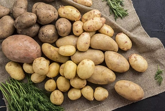 Картофель стал лидером по снижению цен среди социально значимых продуктов