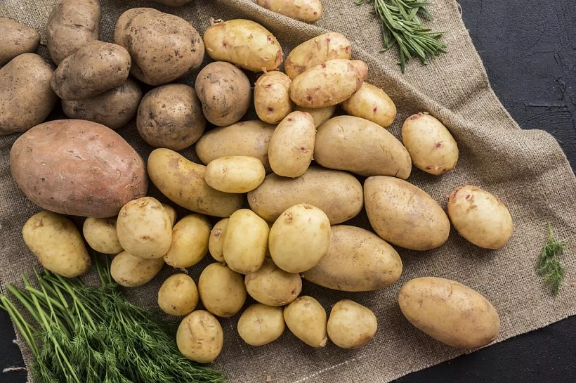 Картофель стал лидером по снижению цен среди социально значимых продуктов
