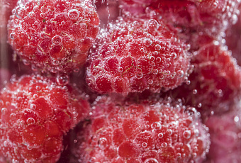 Это поможет сохранить ягодные витамины до самой зимы