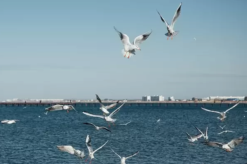 Черное море снова прогревается: +17 градусов у берегов Сочи и Геленджика