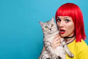 «Мурка, уймись»: почему кот постоянно мяукает