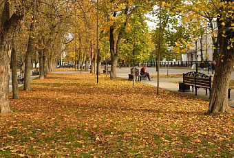 Похолодание до +20 градусов придет на Кубань в конце недели