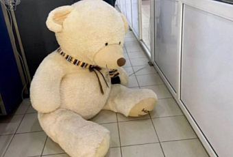 Сочинские таможенники нашли контрабандные сигареты в плюшевом медведе