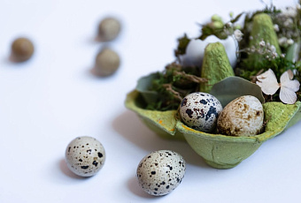 Как разбить яйцо и оставить желток целым