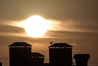 Ученые РАН улучшили прогноз магнитных бурь до конца недели