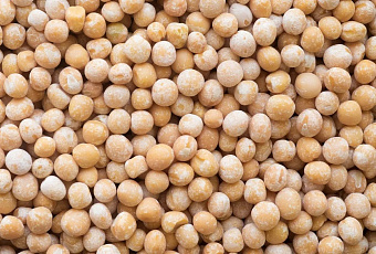 Житель Кубани истязал детей электрошокером и заставлял стоять на горохе