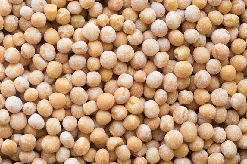 Житель Кубани истязал детей электрошокером и заставлял стоять на горохе