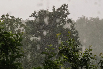 Сильные грозы и похолодание до +17°C ожидаются на Кубани