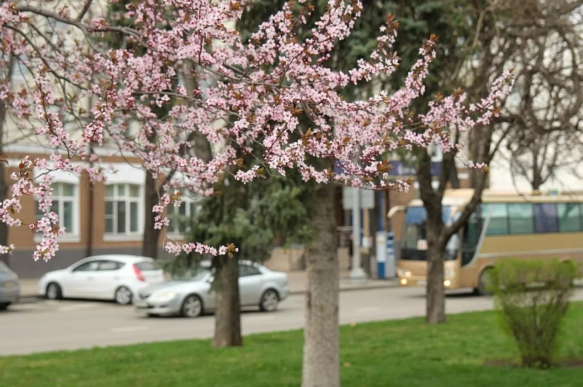 Синоптик Леус пообещал краснодарцам тепло на пару градусов выше нормы