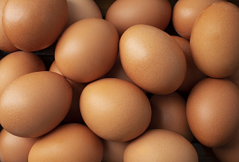 Витамин солнца на тарелке: какие продукты помогут восполнить дефицит