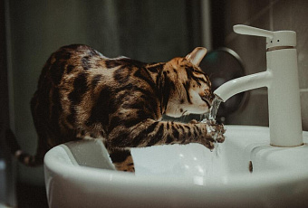 Депутат предложил сократить срок выключения горячей воды 