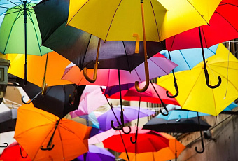 Ученые СмолГУ нашли связь между цветовым вкусом и регионом