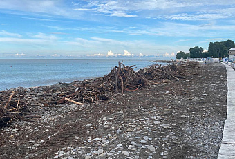 Пляжи в Сочи расчистят к 27 июня