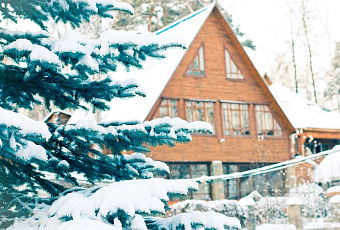 Чтобы елки не стали палками: как правильно ухаживать за хвойниками на участке